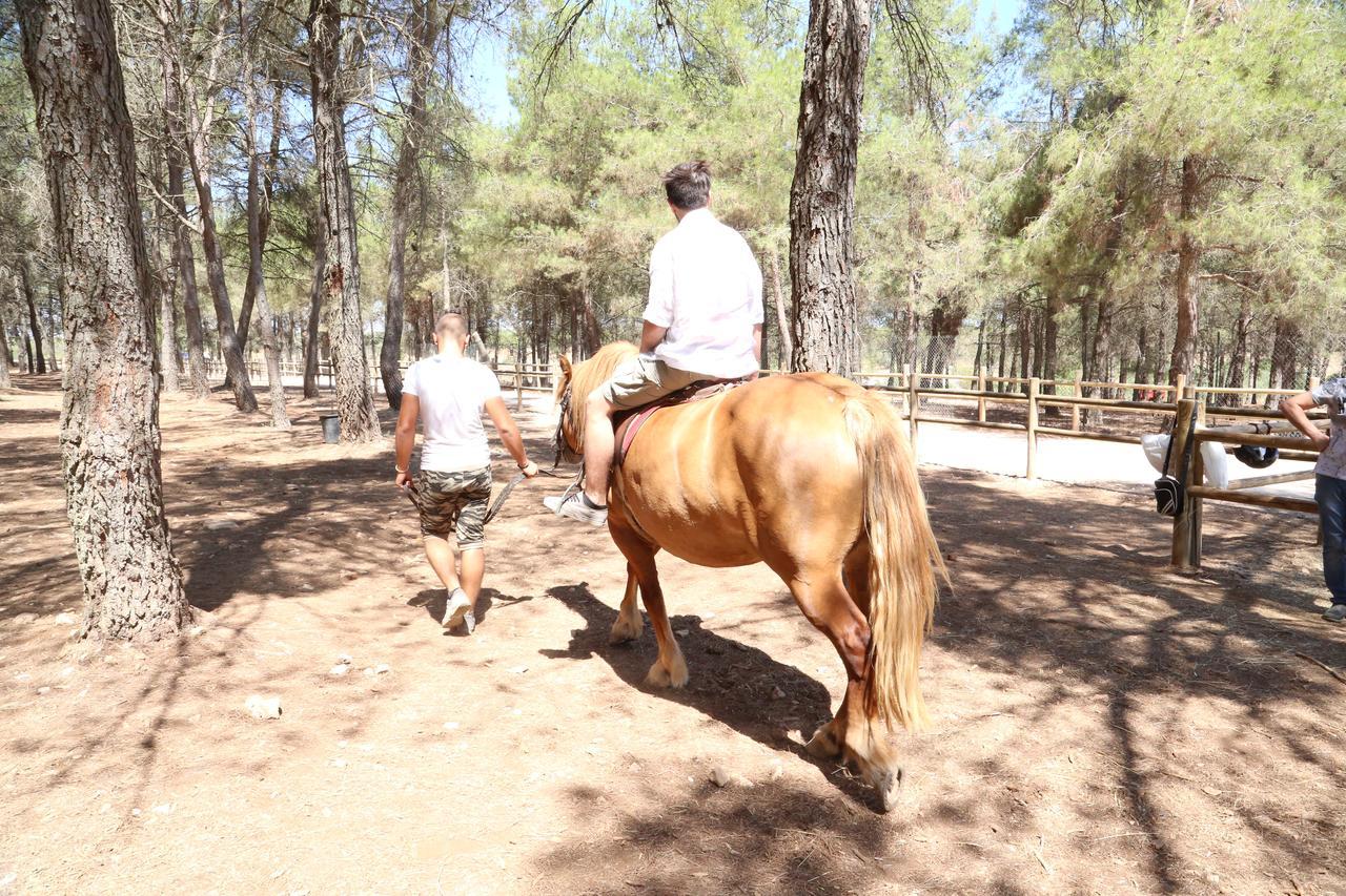 Masseria Chinunno อัลตามูรา ภายนอก รูปภาพ