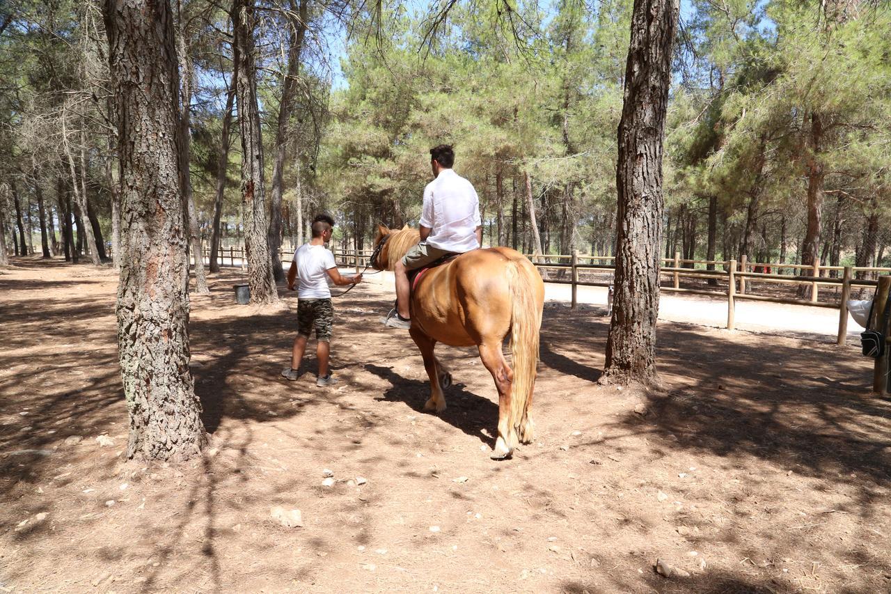 Masseria Chinunno อัลตามูรา ภายนอก รูปภาพ